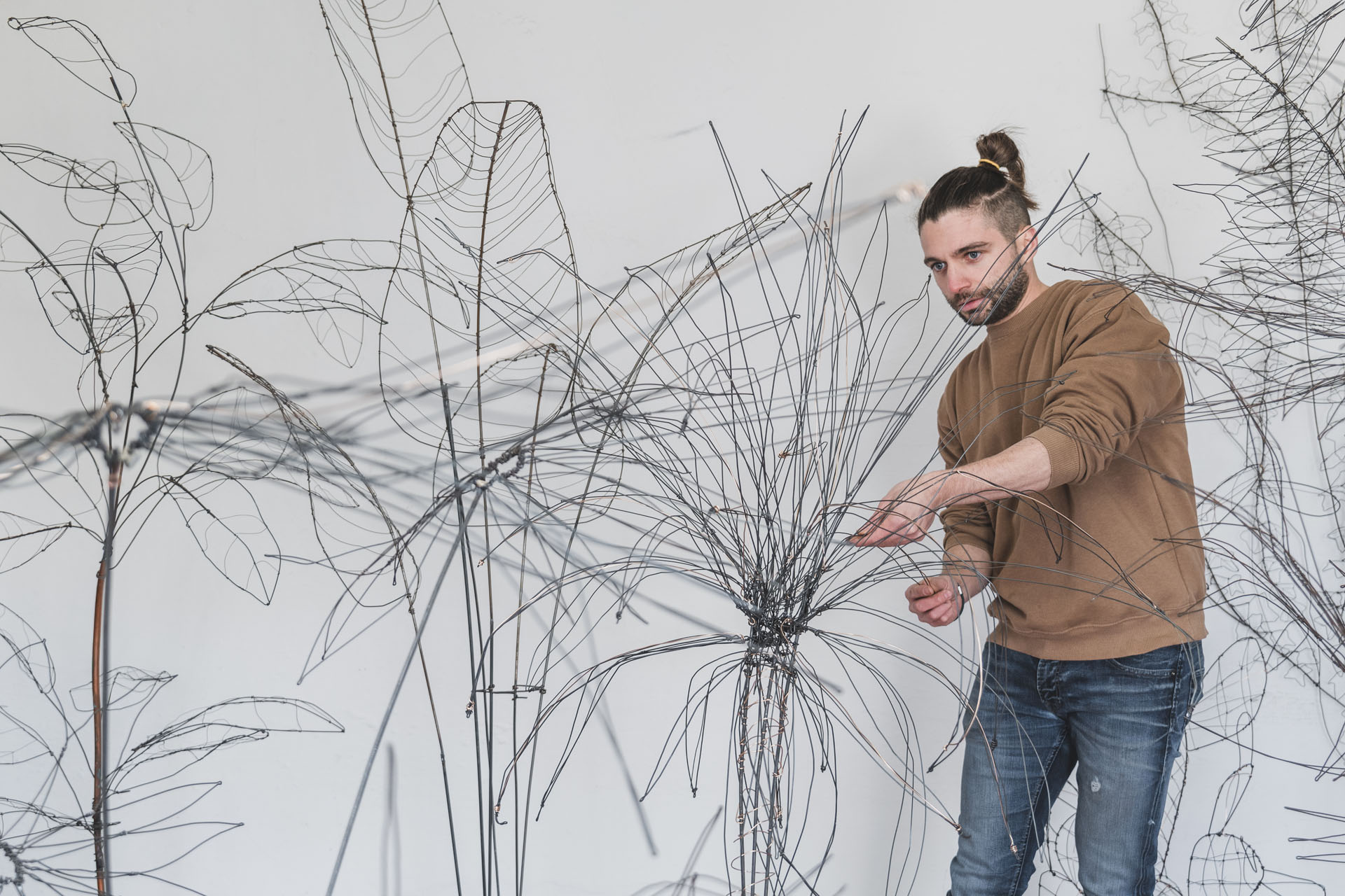 Anatomia di un giardino