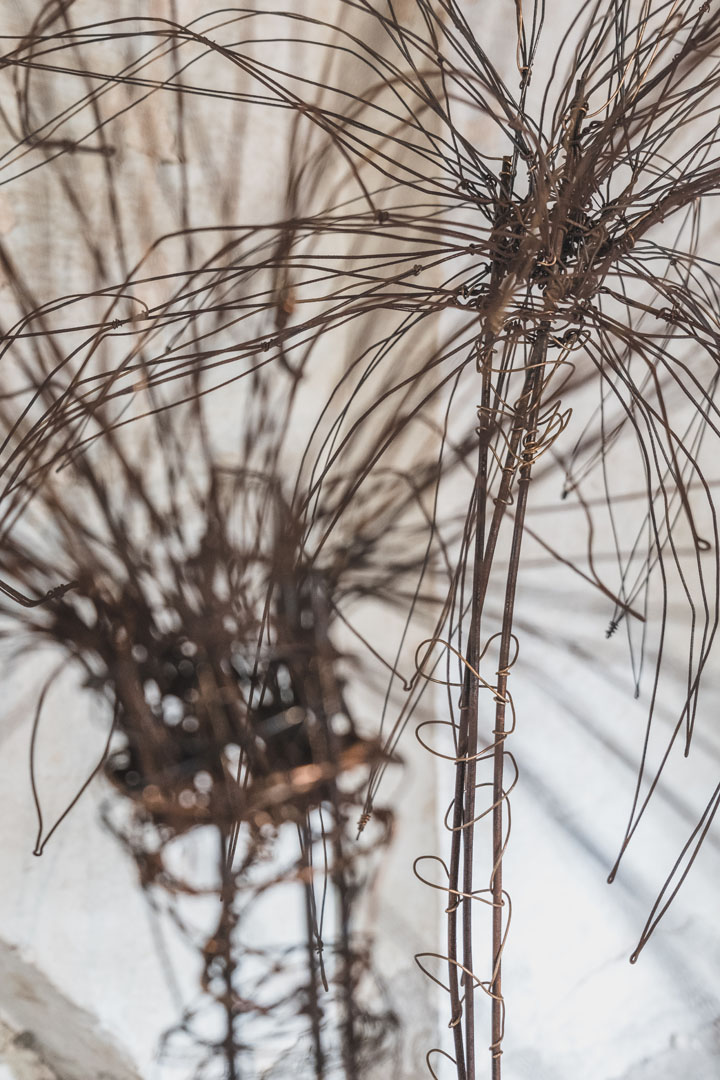 Anatomia di un giardino