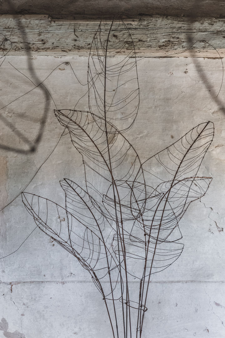 Anatomia di un giardino