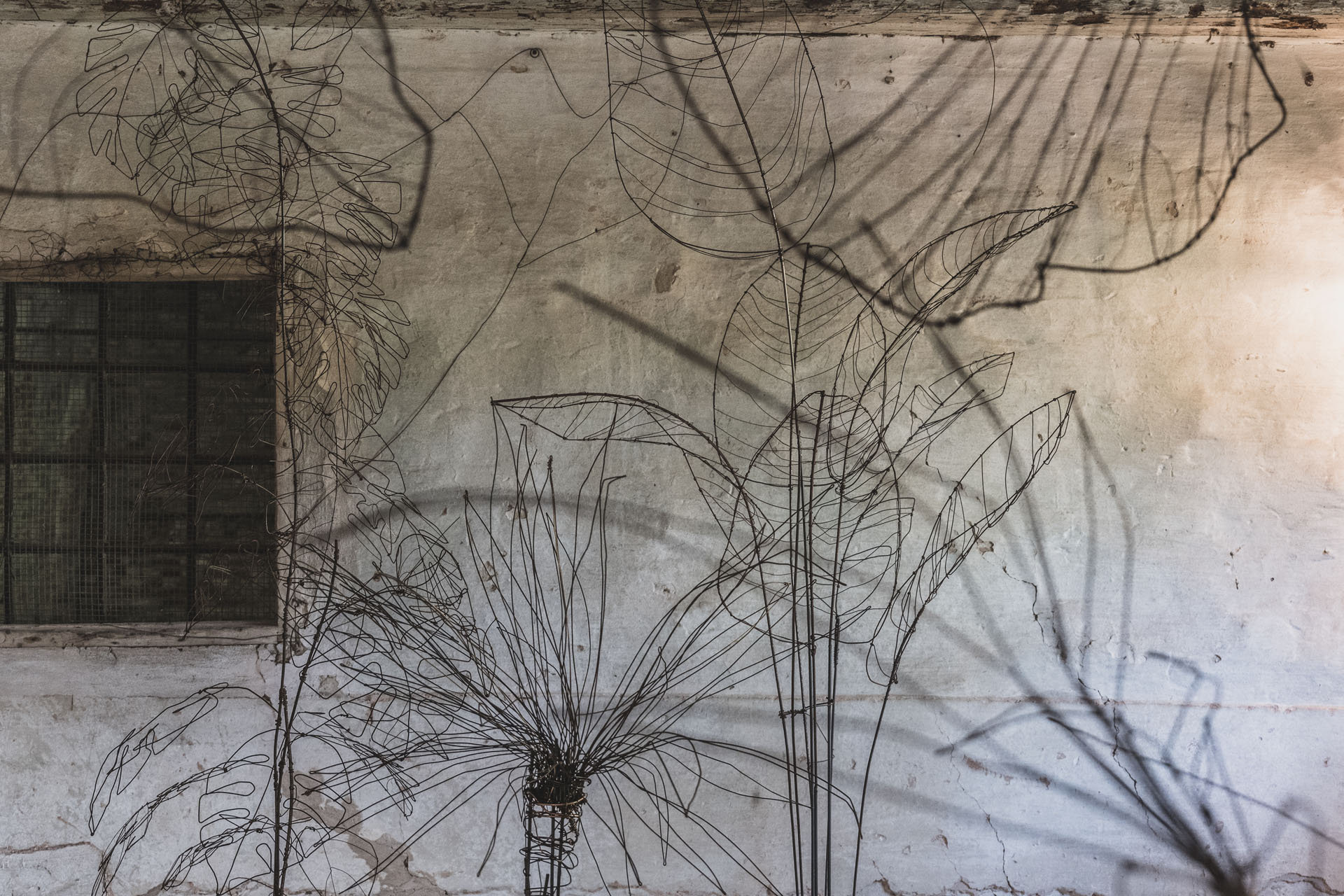 Anatomia di un giardino