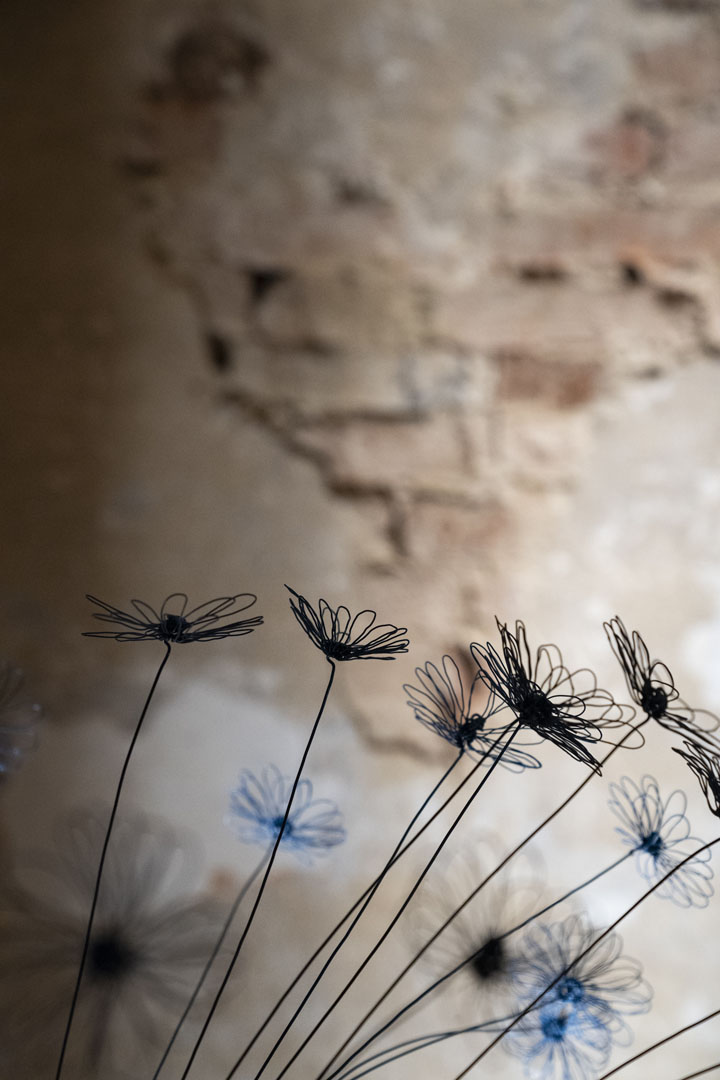 Anatomia di un giardino