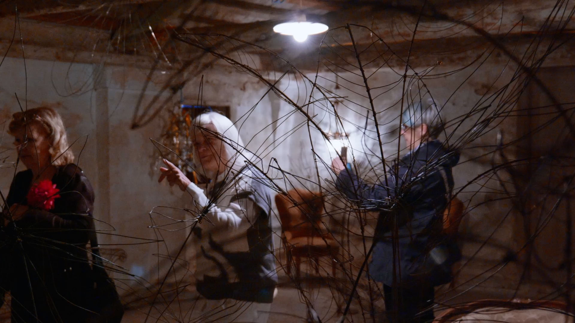 Anatomia di un giardino