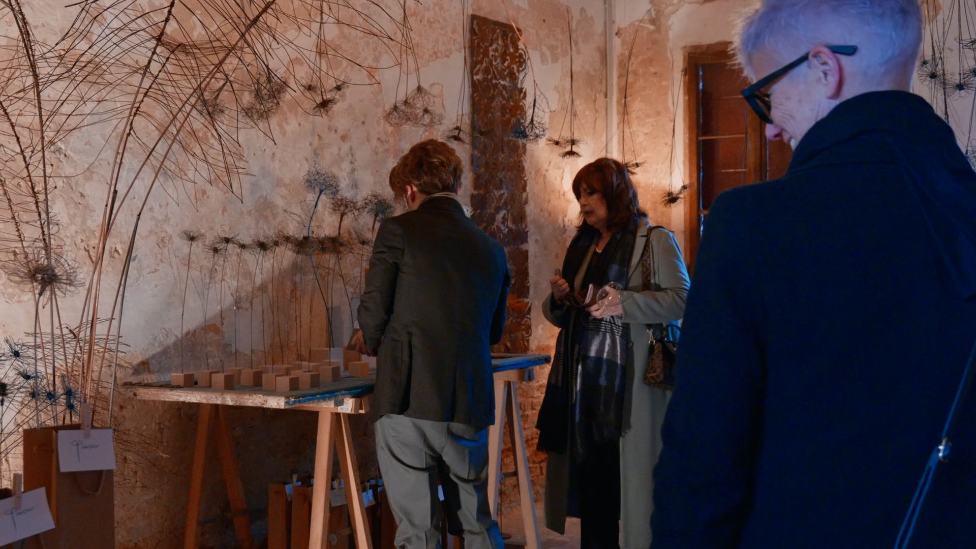 Anatomia di un giardino