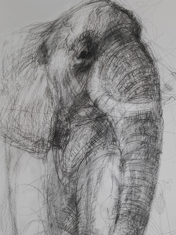 Il salotto degli elefanti