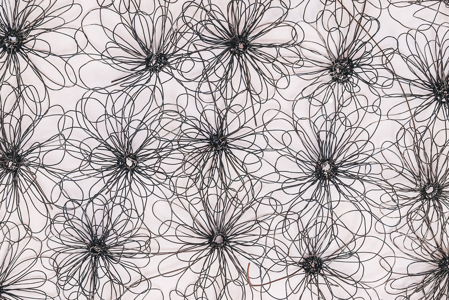 Margherite e gerbere