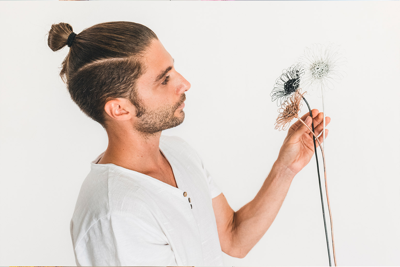 Margherite e gerbere